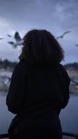 A Mysterious Encounter with Enigmatic Flying Dinosaurs Gracefully Gliding Through the Sky video