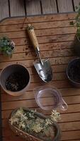 Exploring Gardening Tools and Plants in a Beautiful Natural Setting for Enjoyment video