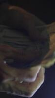 A CloseUp View of a Hand Firmly Holding Several Dollar Bills in Subdued Low Light Conditions video