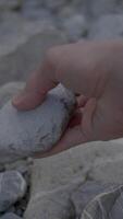 A Hand Gently Holding a Smooth Stone on a Calm Pebbly Surface in a Natural Setting video