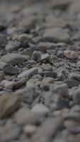A CloseUp of Smooth Stones and Pebbles on the Ground Captured in a Natural Setting video