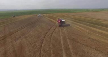 A view from a drone of harvesters working in a wheat field video