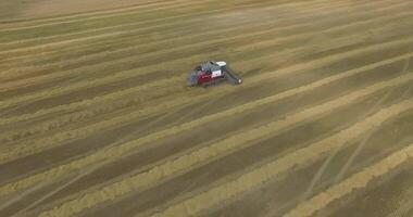 Top-down view of harvesters working in a wheat field video