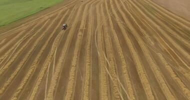 Top-down view of harvesters working in a wheat field video