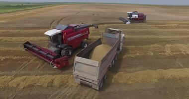 Aerial view of reloading wheat from a combine harvester to a truck video