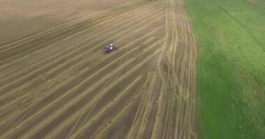 Top-down view of harvesters working in a wheat field video