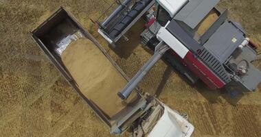 Aerial view of reloading wheat from a combine harvester to a truck video
