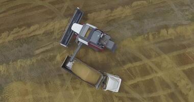 Aerial view of reloading wheat from a combine harvester to a truck video