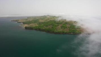 Aerial view of the Krabbe Peninsula in summer video