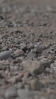 A CloseUp Image Featuring Smooth Pebbles Resting on the Ground for Nature Themes and Inspiration video