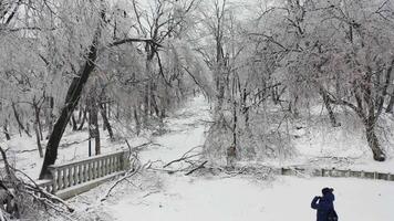 Close-up shot from a drone of a park with broken trees after a freezing rain video