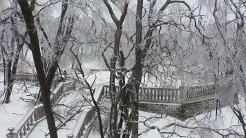 Close-up shot from a drone of a park with broken trees after a freezing rain video