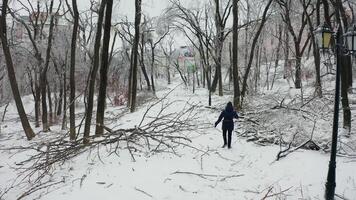 Close-up shot from a drone of a park with broken trees after a freezing rain video