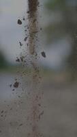 Dust Particles Are Suspended in the Air During Windy Conditions Leading to Various Effects video