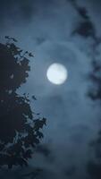 Ethereal Moonlight is Gracefully Shining Through Soft Clouds in the Beautiful Night Sky Above Us video
