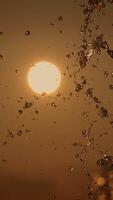 Sunset Reflection with Water Droplets is a captivating and beautiful composition in nature video