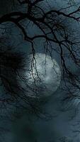 A mesmerizing moonlit night is adorned by the enchanting outlines of silhouetted branches video