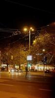 A beautifully illuminated city street at night complete with traffic lights and bright trees video