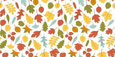 fall seamless pattern with yellow and red foliage on white background vector