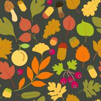 fall seamless pattern with foliage, berries and apricot on black background vector