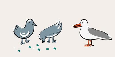 simple birds in doodle style vector