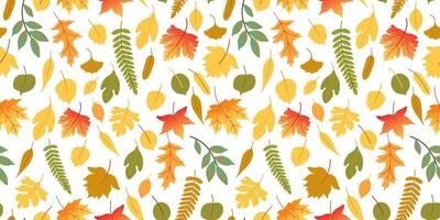 fall seamless pattern with foliage on white background vector