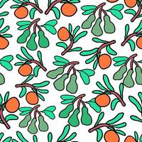 seamless pattern with mandarins and avocados branches in doodle style vector