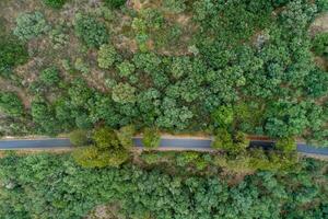 drone aerial view of a mountain road among oak trees photo