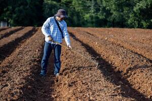 Asian farmer is using hoe to plough tilled soil ready for planting in the countryside during summer for potato plantation and agriculture photo