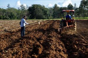 Asian farmer is plowing tilled soil ready for planting in the countryside along with tractor during summer for potato plantation and agriculture photo