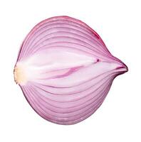 Top view of big red or purple onion bulb in half isolated on white background with clipping path photo