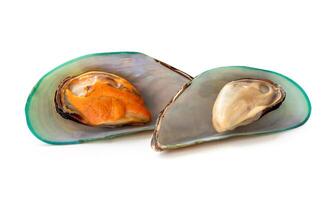 Side view of cooked or steamed green mussels isolated on white background with clipping path photo