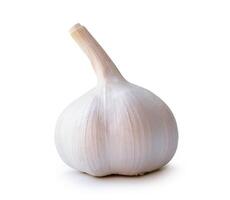 Side view of white garlic bulb isolated on white background with clipping path photo
