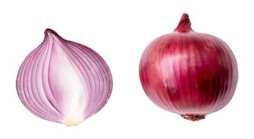 Top view set of big red or purple onion bulb with half isolated on white background with clipping path photo