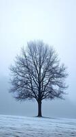 Solitary Tree in Mist-Covered Field with Haunting and Serene Atmosphere photo