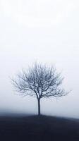 Solitary Tree in Mist-Covered Field with Haunting and Serene Atmosphere photo