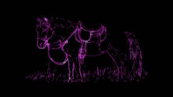 Neon frame effect, Horse Saddle A saddle for horseback riding on black background video