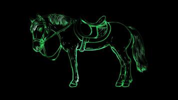 Neon frame effect, Horse Saddle A saddle for horseback riding on black background video