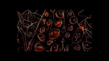 Neon frame effect, Rock Climbing Holds Colorful holds for climbing walls on black background video
