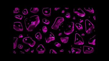 Neon frame effect, Rock Climbing Holds Colorful holds for climbing walls on black background video
