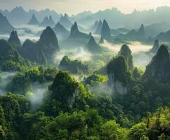 Misty morning reveals lush green mountains shrouded in fog photo