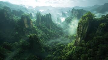 Misty morning over a lush mountain valley with towering peaks and trees photo