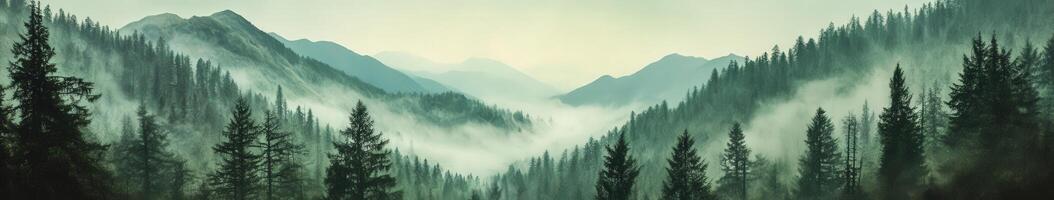 Misty morning blankets serene mountain landscape with evergreen trees photo