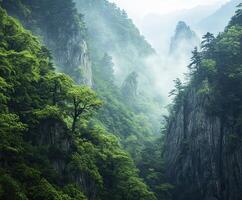 Misty morning in lush green mountains with towering cliffs and trees photo