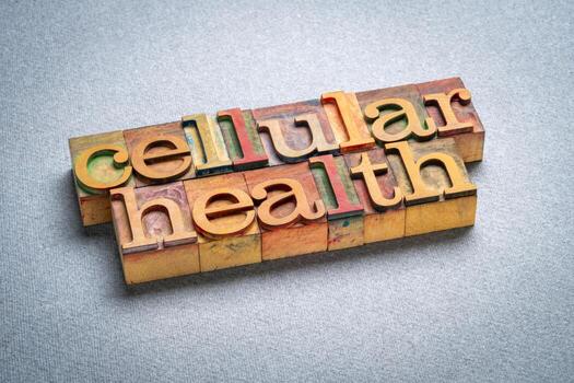 cellular health - processes that contribute to the optimal functioning of organism cells ,text in retro letterpress wood type photo