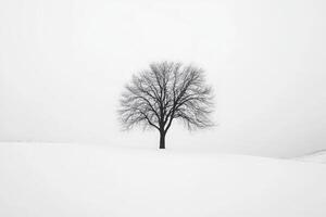 A single, bare tree is prominently featured in a vast expanse of white snow. The overcast sky creates a serene, minimalist winter atmosphere that emphasizes the trees solitude. photo