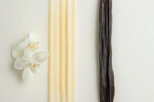 A clean, minimalist arrangement features creamy vanilla sticks alongside delicate white flowers, set against a soft background that enhances its serene and sophisticated aesthetic. photo