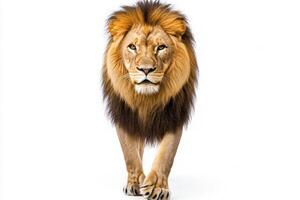 A powerful lion with a flowing mane stands boldly at the center, exuding strength and grace. Its gaze captures the essence of wildness, emphasizing its regal presence in stark isolation. photo