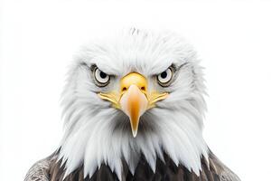 This majestic eagle commands attention with its fierce gaze, sharp beak, and detailed feathers, set against a clean white backdrop, symbolizing strength and freedom. photo