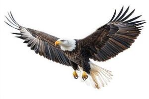 An eagle is soaring high with its wings fully extended, showcasing its impressive feathers. The bird exudes power and freedom against a bright, uncluttered backdrop. photo